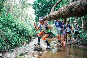 BIB: 
                            <button type="button" onclick="openModal(25372599)" class="btn btn-primary btn-sm float-right btn-popup" data-toggle="modal" data-target=".modal-high-quality">
                        <i class="fas fa-shopping-cart"></i> Add to Cart
                    </button>
                                            <button type="button" onclick="isThisMe(25372599, true)" class="btn btn-success btn-sm float-right btn-popup btn-isme hidden" data-toggle="tooltip" data-placement="bottom" title="นี่คือรูปของคุณใช่ไหม คลิกที่นี่เพื่อเอาเข้าอัลบั้ม">
                        <i class="fas fa-plus"></i> Add to album
                    </button>
                    <button type="button" onclick="isThisMe(25372599, false)" class="btn btn-warning btn-sm float-right btn-popup btn-isnotme hidden">
                        <i class="fas fa-ban"></i> Remove from album
                    </button>